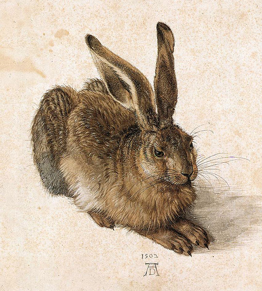 File:Durer-sells-bunny.jpg