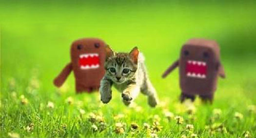 File:Kitten chased by grues.jpg