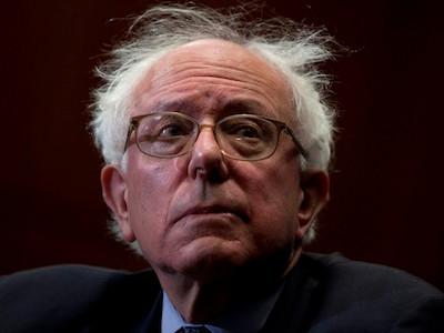 File:Bernie-bad-hair-day2.jpg