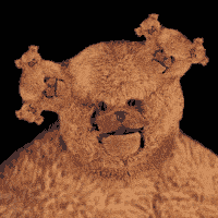 Bunglebrot, the fractal bear.