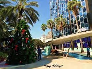 File:Miami Christmas tree holidays.png