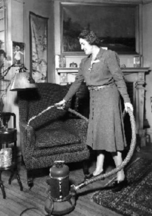 Women Vacuuming.png