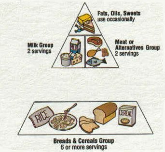 File:Food-pyramid2.jpg
