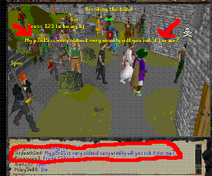 a runescape n00b saying "my penis is very old and very wrinkly, will you rub it for me?"