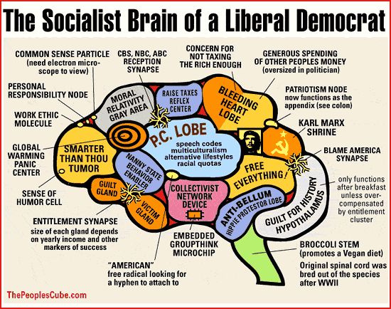 File:Liberal Brain.jpg