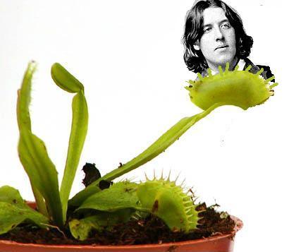 File:Venus flytrap+Oscar Wilde.JPG
