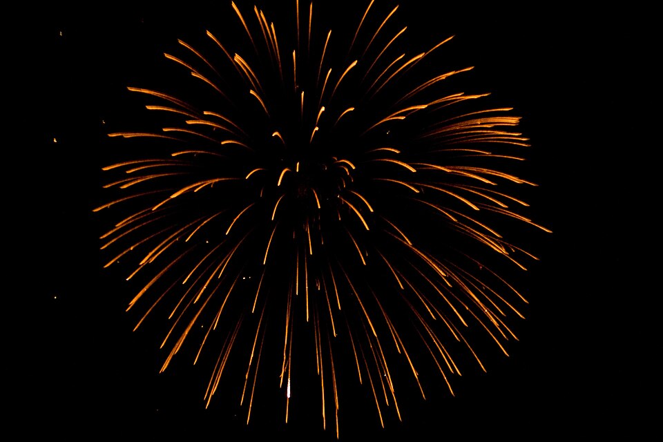 File:Orange Poof (140441937).jpeg