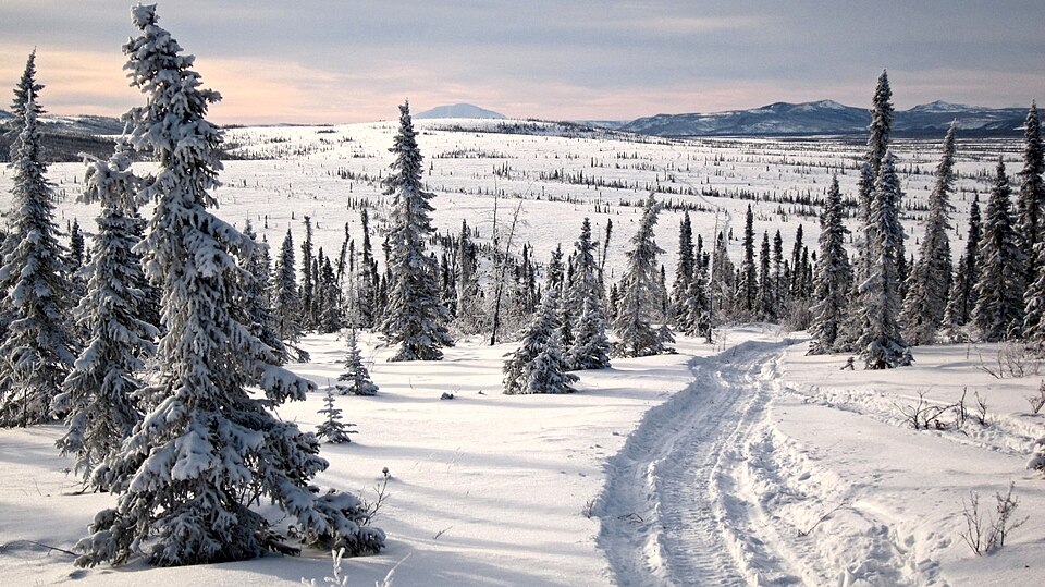 File:Photo from the Iditarod Trail.jpg