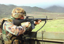 M16Rifle.jpg