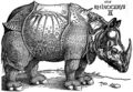 A rhinoceros! How exotic! Leo never painted one of these did he? HA! Amateur!
