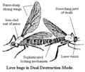 A diagram of your typical love bug.