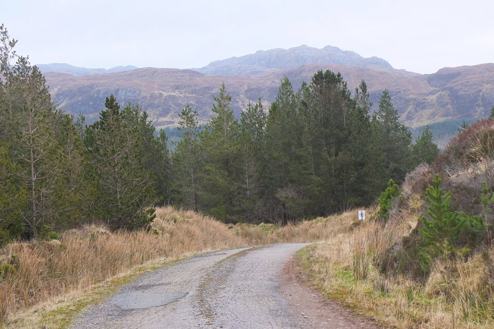 File:Forest road near Glas Bheinn - geograph.org.uk - 4878191.jpg