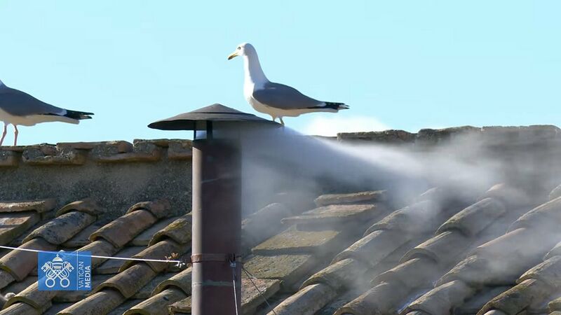 File:White smoke new pope.jpg