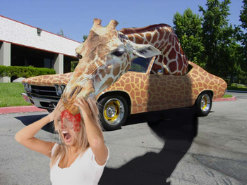 Driveby Giraffe