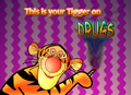 This is your Tigger on Catnip