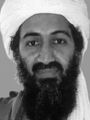 Use in articles related to Osama bin Laden.