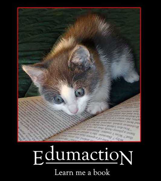 File:Edumaction.png