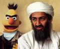 Bert and Bin Laden.