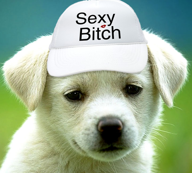 File:PuppyIsASexyBitch.png