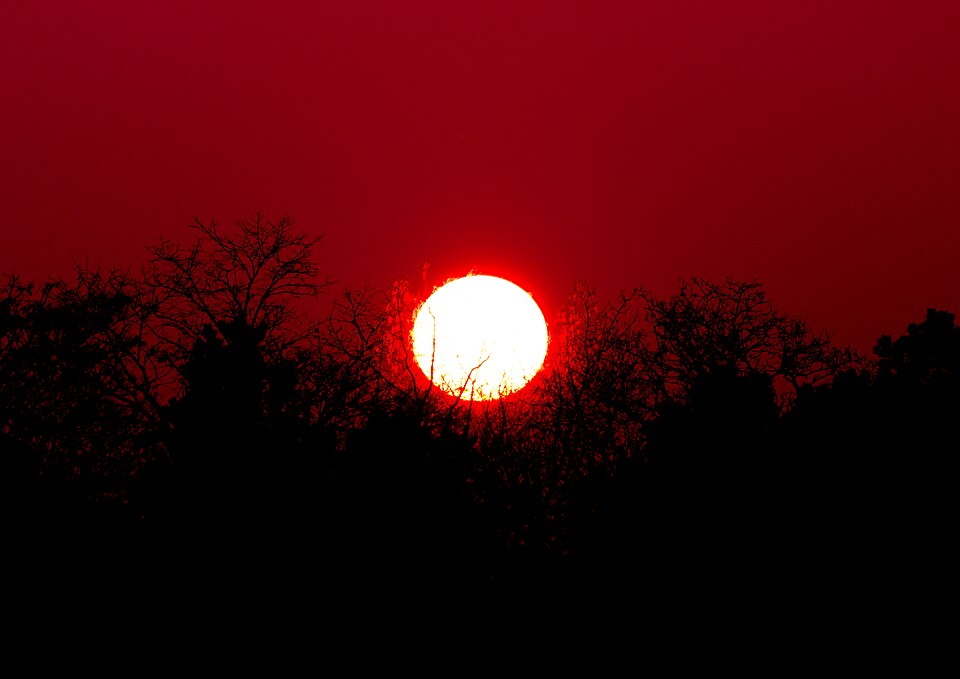 File:ThomasHirsch RedSun.jpg