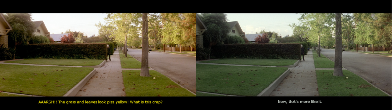 File:Halloween Blu-ray comparison (day).png