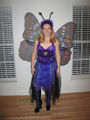 Butterfly-costume.jpg