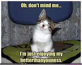 File:Funny-pictures-cat-thinks-he-is-better-than-you.jpg