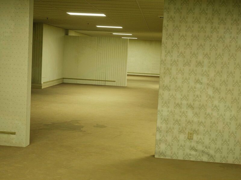 File:The Backrooms (Large).jpg