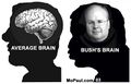 Bush brain.jpg