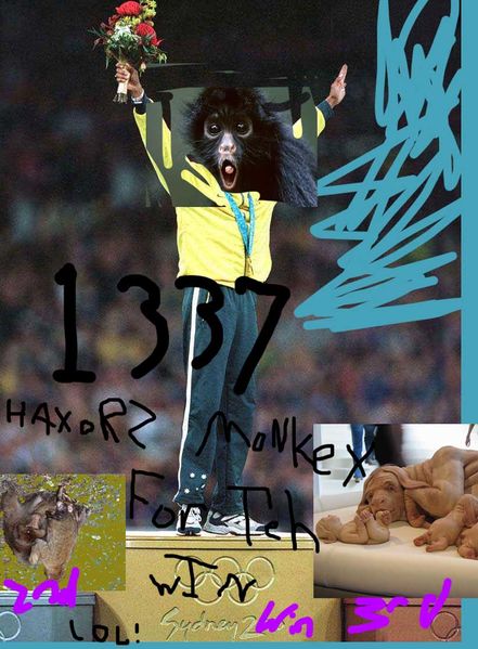 File:Monkey Olympic.jpg