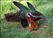 Anteater2.jpg