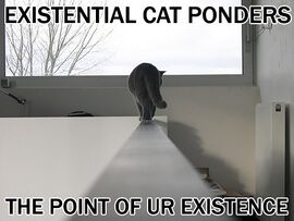 File:Existential cat.jpg