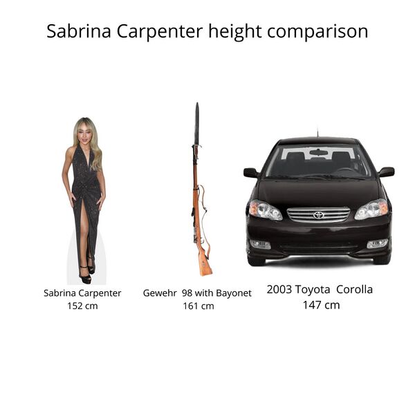 File:Sabrina Carpenter height comparison.jpg