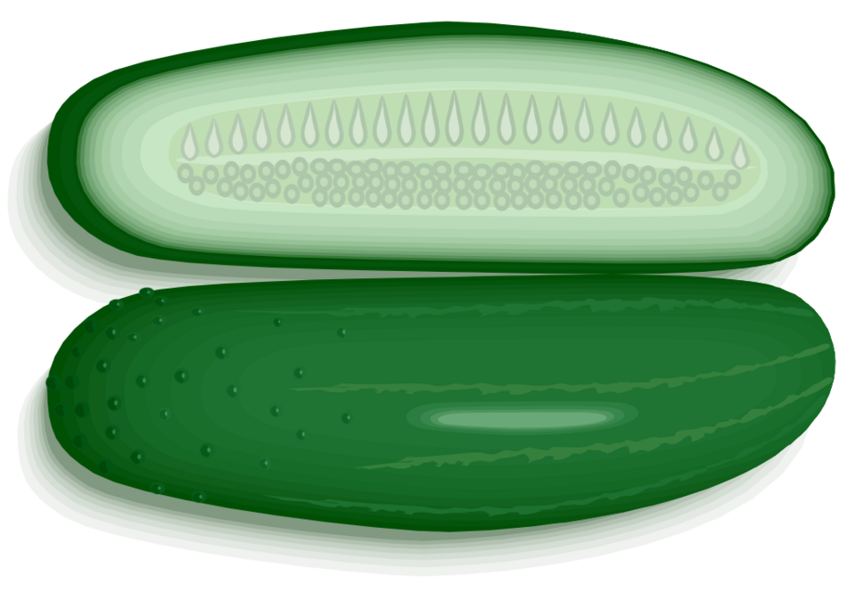 File:Cucumber.png