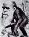 Darwin-ape.jpg User:Aleister in Chains