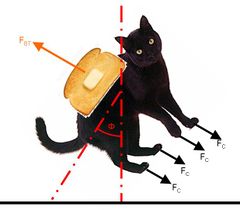 To Determine the Motion of a Cat with a Slice of Buttered Toast Strapped to its Back: Let F_c be the attractive forces of each of the cat's feet to the carpeting (not shown), and let F_bt be the net rotational torque imposed by the carpeting upon the buttered side of the toast. By the 42nd proposition of Murphy's Laws, the system will begin to rotate in a counterclockwise fashion, causing the cat (C) to experience a large measure of confusion. The partially-melted butter (B), which is adhered to the toast (T) by comparatively weak Van der Waals forces, is overwhelmed by the large centrifugal fictional force, though the butterd toast(BT)and cat(C)will in fact cancel out each others forces to fall on thier butter side/feet, causing the buttered ttoast/cat(BT+C) to spin in a colckwise motion. The spinning cat and toast (C+T), having thus divested itself of surplus butter, will then experience tidal drag within the Earth's gravitational field until such time as rotational equilibrium is restored.