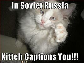 File:Funny-pictures-kitteh-captions-you.jpg