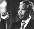 ... that Nelson Mandela (Pictured) was a cunt?