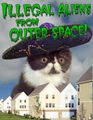 Original lobby poster for Illegal Aliens from Outer Space!. An unfortunate error lead to the original theater poster having this terrifying kitten, rather than the planned terrifying Mexicalian.