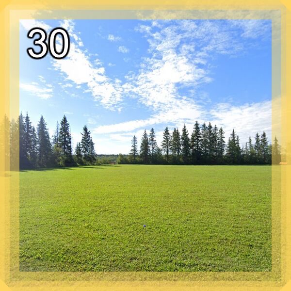 File:UNPLevel30.jpg