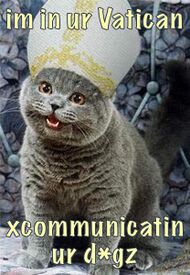 File:Pope cat.jpg