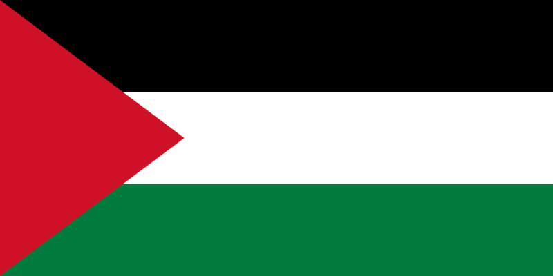 File:2048px-Flag of Palestine.svg.png