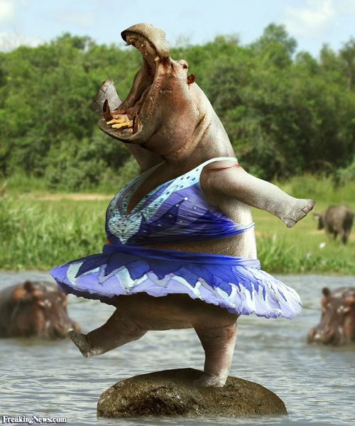 File:Hippo dancer.jpg