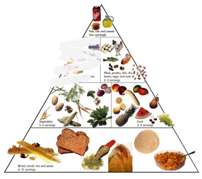 File:Food pyramid-dairy.jpg