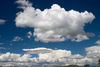 Cumulus cloud.jpg