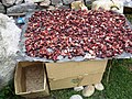 Homless jerky vendor