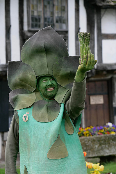 File:Gus the Asparagus.png