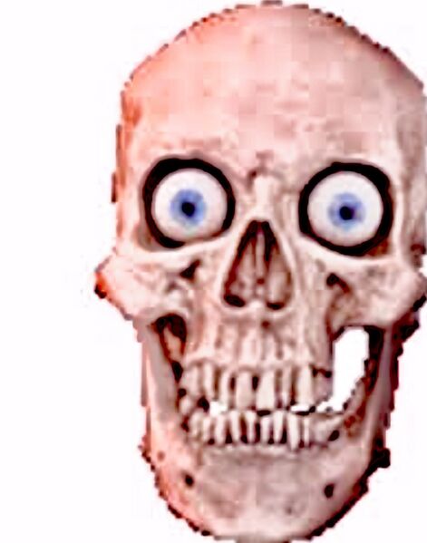 File:What is this?!.jpg