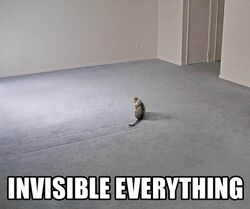 File:Invisibleeverythinglolcat.jpg