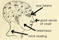 The Illuminati's official diagram of the human brain.